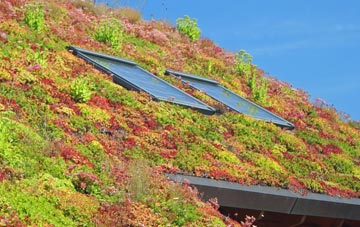 Engamoor living roof systems
