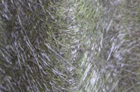 Engamoor fibreglass roof work